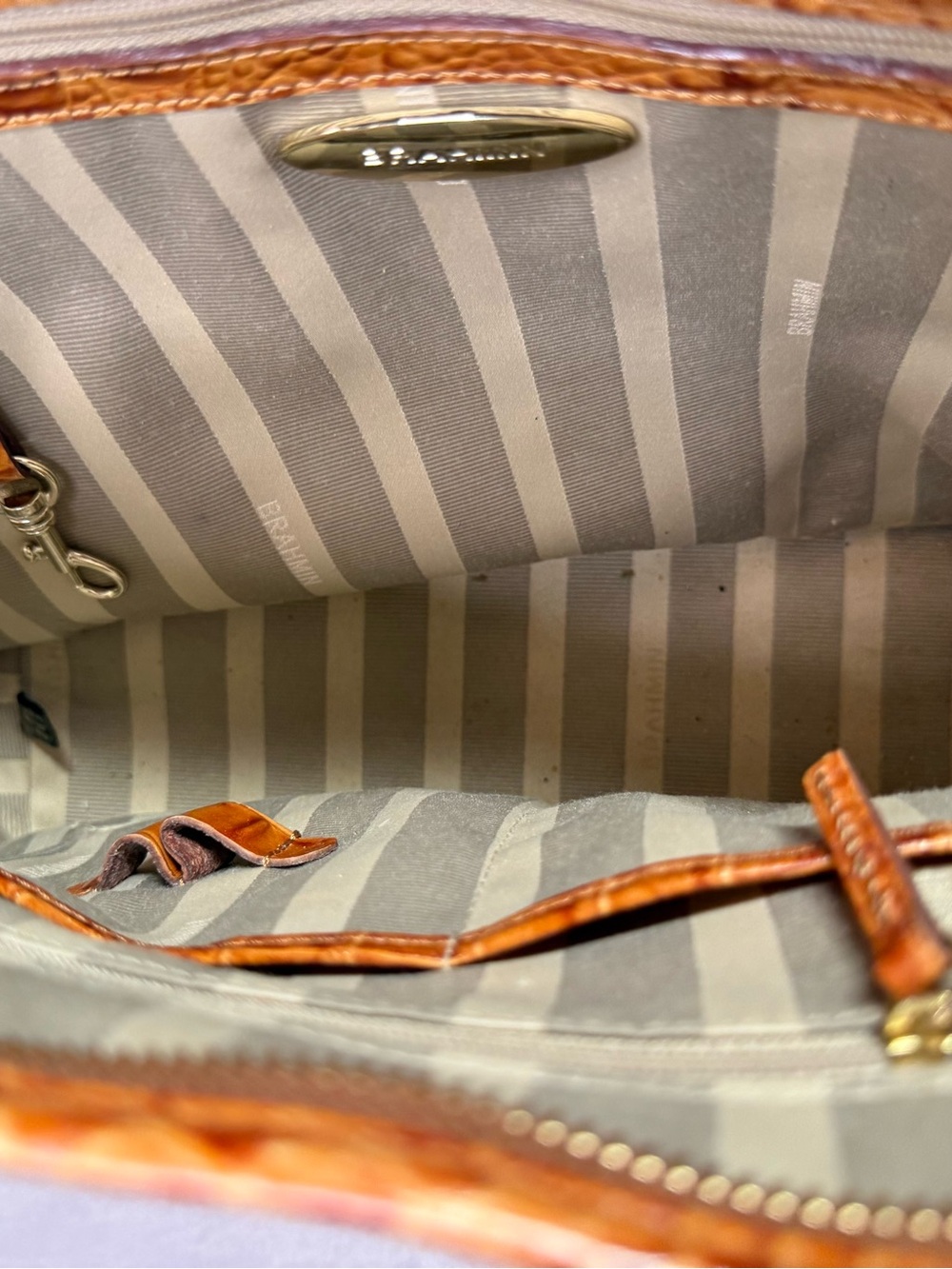 Brahmin Medium Asher Tote Bag in a Multi-Color Python Printed Leather - Picture 9 of 12